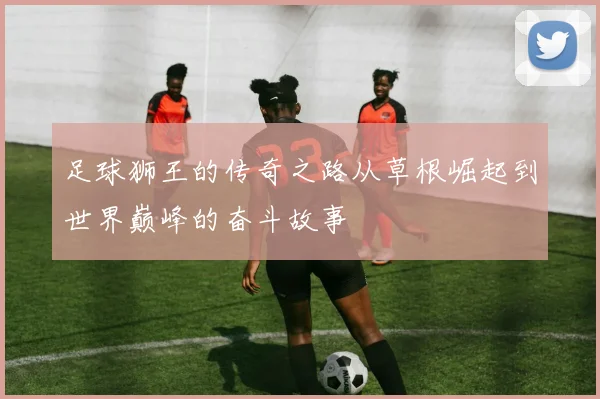 足球狮王的传奇之路从草根崛起到世界巅峰的奋斗故事
