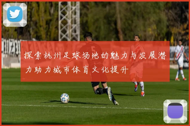探索杭州足球场地的魅力与发展潜力助力城市体育文化提升