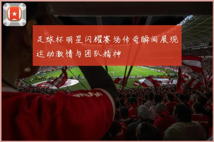 足球杯明星闪耀赛场传奇瞬间展现运动激情与团队精神